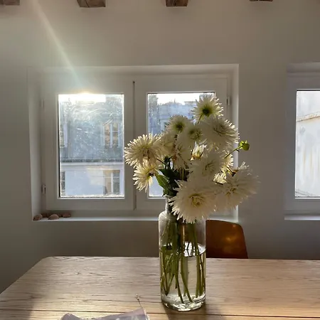 Apartment Quiet, Light-filled Renovated *